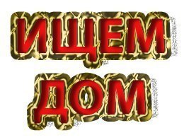 !!    !!   1.5 ,,, 2 . . ... - 2