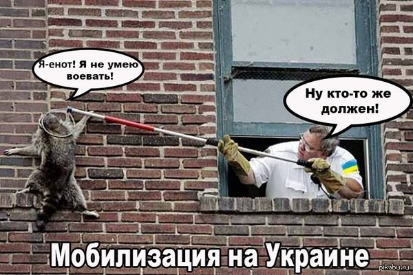 ,          " ...