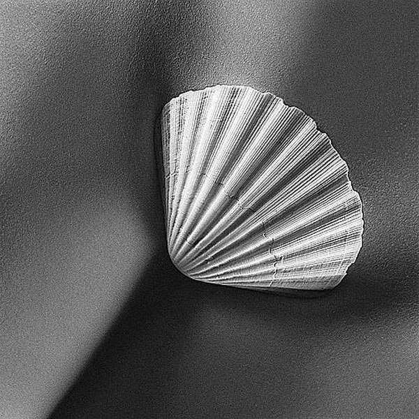 I see, I hear... (� ���� , � ����� ) - 15 ��� 2016 � 19:03 - 7