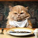 ���� Margo, �����-��������� - ��������� 16 ��� 2016