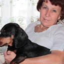 ���� �������, ��������� - ��������� 25 ���� 2016 � ������ ���� ����������