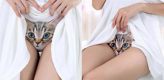 pussy