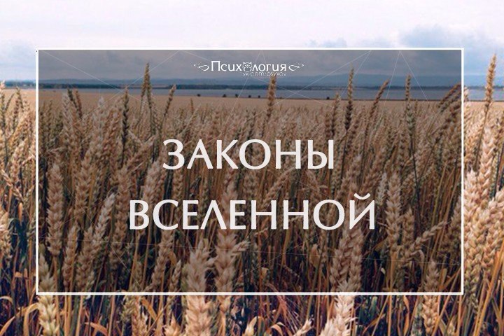 ТОП-8 законов Вселенной.1. Закон СозданияМысль создаёт Всё. Зная этот закон, вы можете создавать всё ...