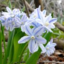 ���� �����, �������, 62 ���� - ��������� 30 ������� 2016 � ������ ���� ����������