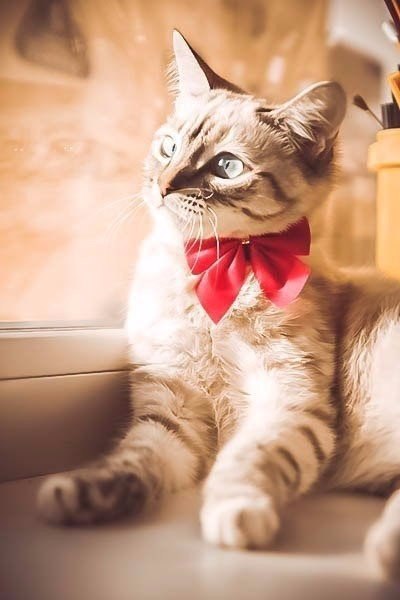       - 26  2016  08:06 - 5