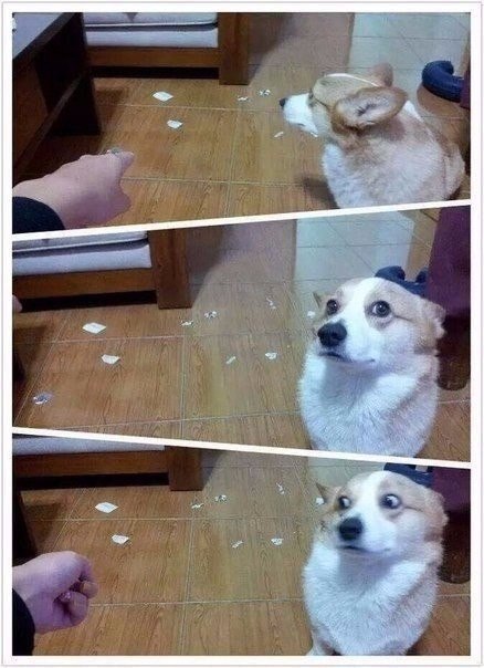 ,        - 5
