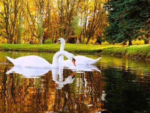 ������� - 8 �������� 2016 � 23:23