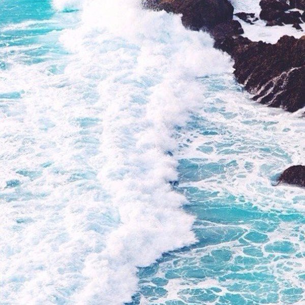 К морю. К морю. Мне нужно к морю. К морю. В море – вода. Вода приручает. Неспешно, мудро приручает. ...