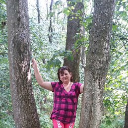 ����, �����������, 61 ���