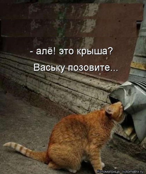   - 1  2016  22:08