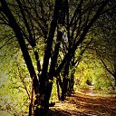 ���� ������, ������, 40 ��� - ��������� 10 ���� 2016 � ������ ����������� ��� ����� )�