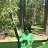 ���� ����, �����������, 40 ��� - ��������� 29 ��� 2016