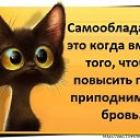 ���� �����, ����� - ��������� 25 ��� 2016 � ������ ������ ��������