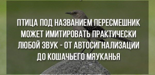   - 2  2016  20:18