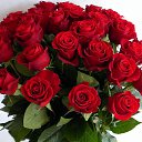 ���� ��������� ���������, ��������� - ��������� 26 ��� 2016 � ������ ��������