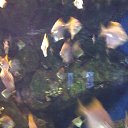 ���� �������, ���������, 58 ��� - ��������� 14 ���� 2016 � ������ ������