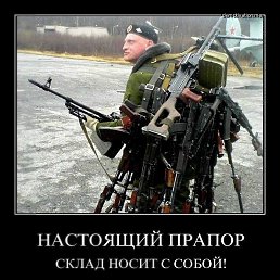 ����, �������, 105 ���