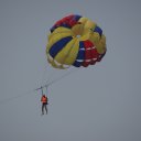 ���� ������, ������, 50 ��� - ��������� 23 ������� 2016 � ������ ���� ����������