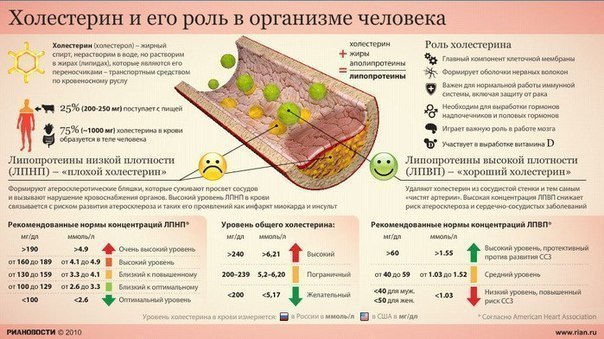 Холестерин – это вещество, которое содержится во всех тканях и клетках организма, оно относится к ...