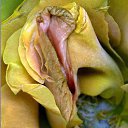 ���� ����, ������ - ��������� 27 ��� 2016 � ������ �������� ������ �����