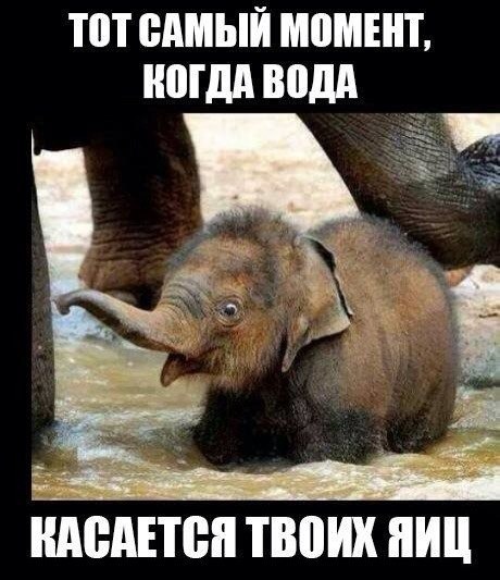    ! <a href=