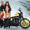 ���� ������, ����������� - ��������� 1 �������� 2016 � ������ ���� ����������