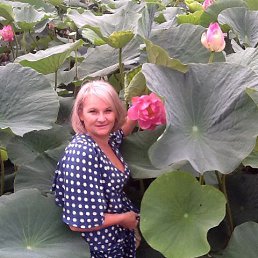 ����, �����������, 52 ����