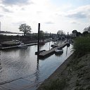 ���� �������, �����������, 71 ��� - ��������� 1 ���� 2016 � ������ ��������-�����-��� 2016�