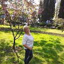 ���� ����, ���������, 54 ���� - ��������� 17 ������ 2016 � ������ ���� ����������