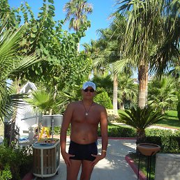 ���������, �������