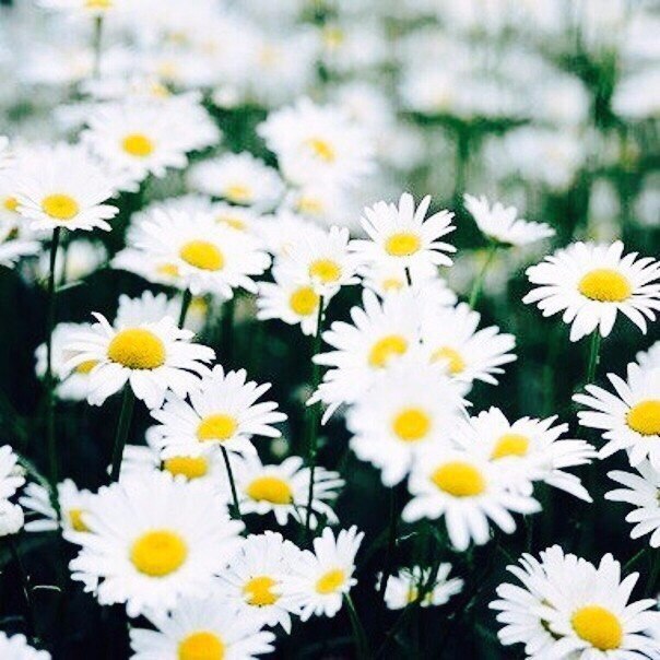 #nature@travel.blog - 5