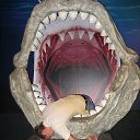 ���� �������, ���������, 48 ��� - ��������� 22 ����� 2016