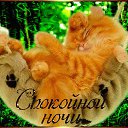 ���� Walera, �������� - ��������� 20 ������� 2016 � ������ ������ ��������
