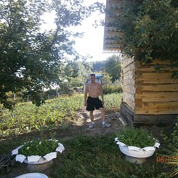 ���� �������, ��������, 45 ��� - ��������� 8 ���� 2016