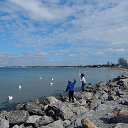 ���� �����, ���� - ��������� 28 ����� 2016 � ������ �������������� ����