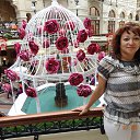 ���� ������, �������������-����������, 62 ���� - ��������� 8 ��� 2016