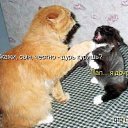 ���� Stiv, ��������, 52 ���� - ��������� 18 ������ 2016 � ������ ���� ����������