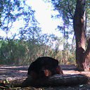 ���� ��������, ���������, 60 ��� - ��������� 23 ����� 2016 � ������ ���� ����������