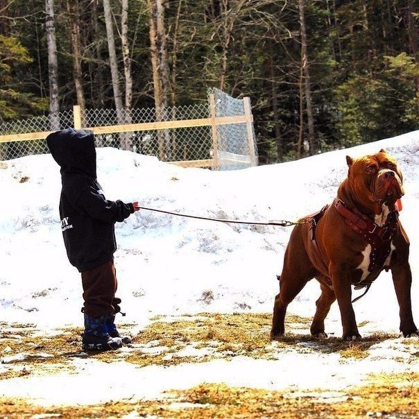      ...  .      . 80   ...