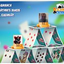 ���� �������� ������������, ���������, 51 ��� - ��������� 21 ������ 2016 � ������ �������� �������-�������