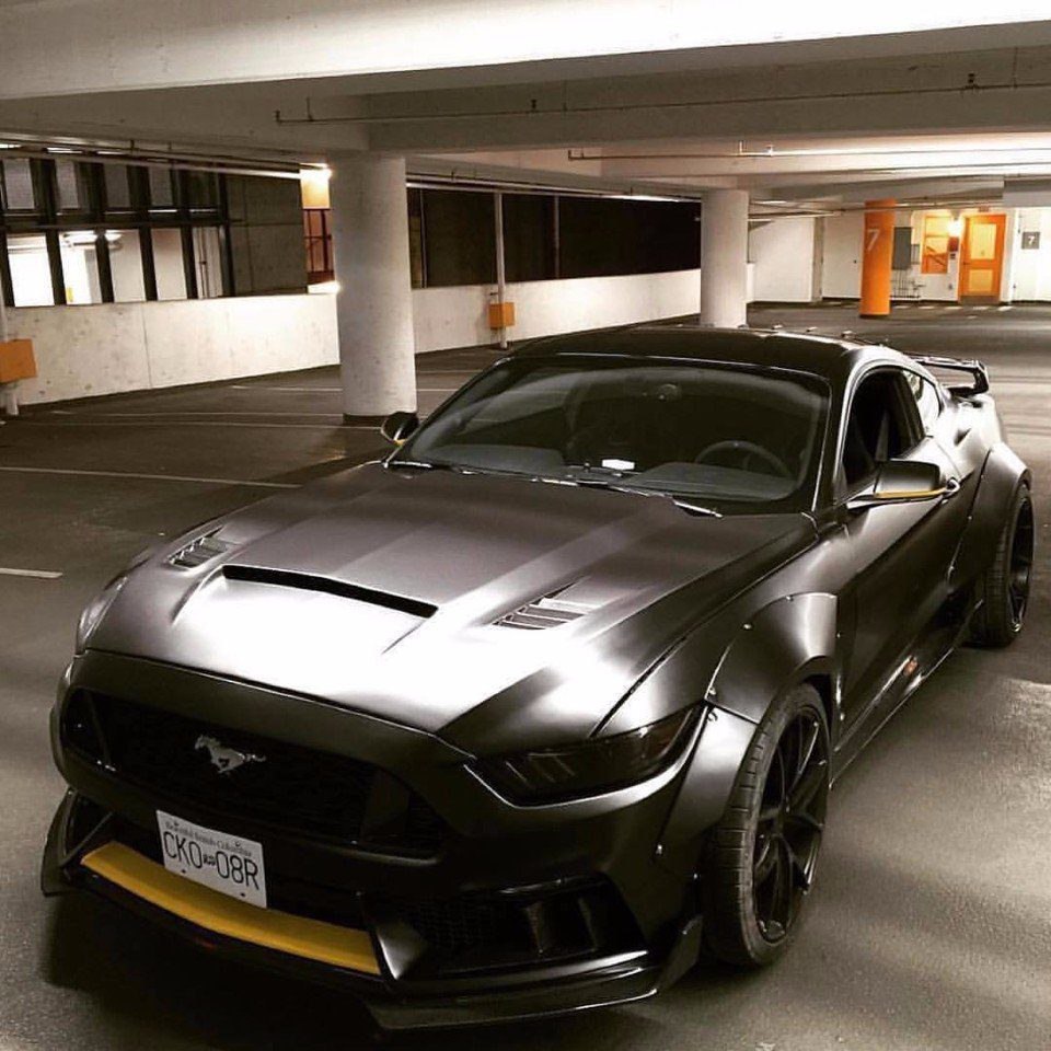 Mustang