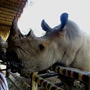 ���� ������, ������������, 69 ��� - ��������� 21 ������� 2016 � ������ ��������