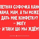 ���� ����, ��������� - ��������� 4 �������� 2016 � ������ ���������� ���������