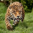 ���� ����, ������ - ��������� 27 ���� 2016 � ������ ������ ��������