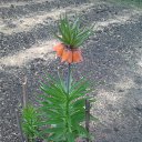 ������� ������! �� ������� ���� �����������.�