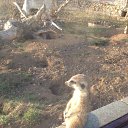 ���� ������, ������� - ��������� 13 ������ 2016 � ������ ���� ����������