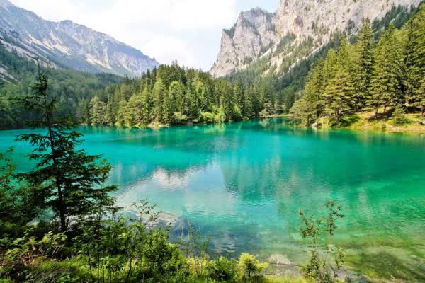   (Gruner See) - -  