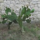 ���� �������, ������� - ��������� 29 ���� 2016 � ������ ��������. ����� ����.�