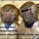 ���� �������, ������ - ��������� 5 ������� 2016 � ������ �������