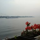 ���� �������, �������, 45 ��� - ��������� 31 ������� 2016 � ������ ���� ����������